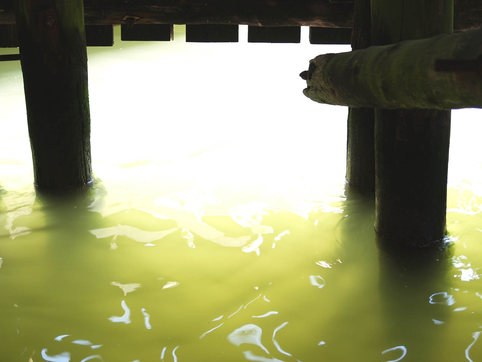 wharf, 