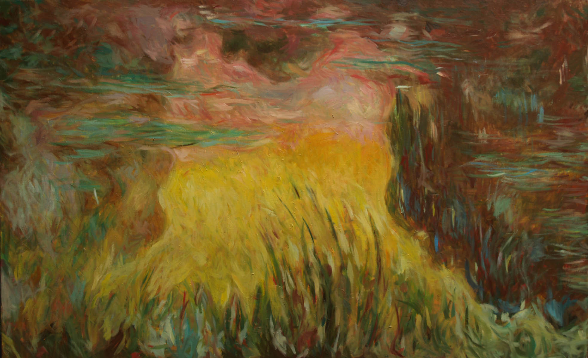 monet lekníny, 