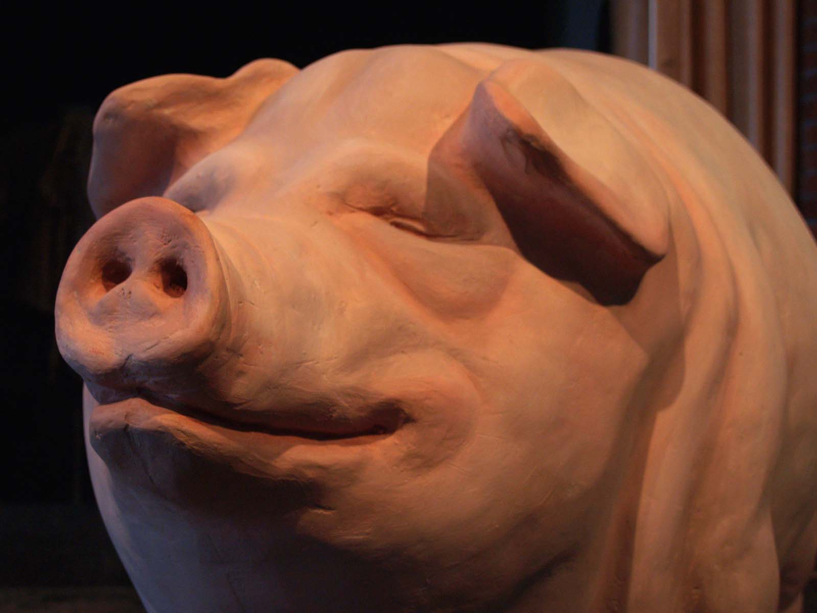 pig, 