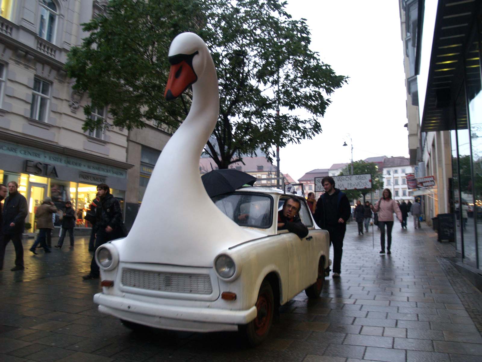 swan brno, 