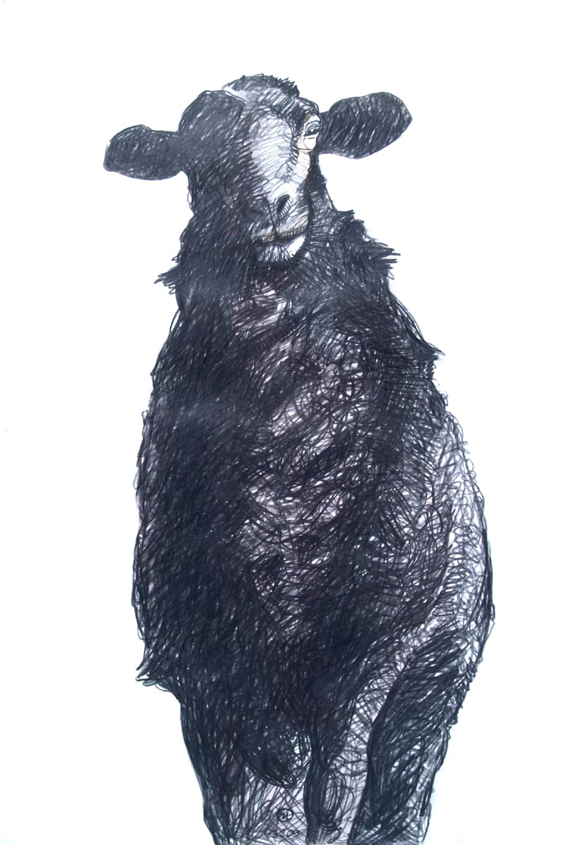 sheep 2, 