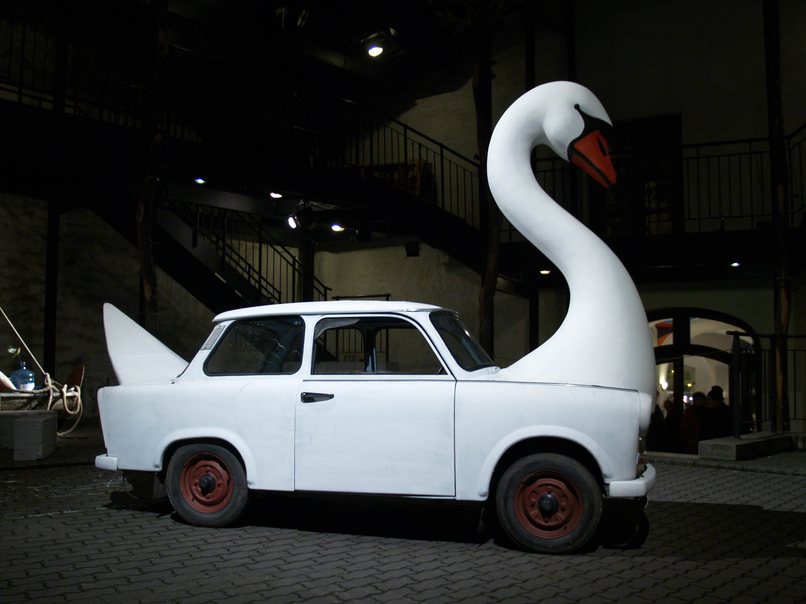 swan, 